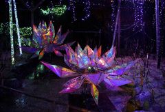 光の日本庭園 ジパング