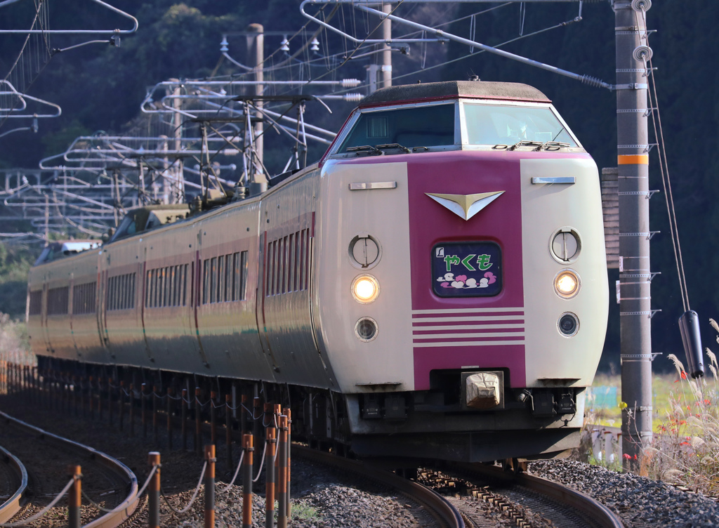 特急やくも