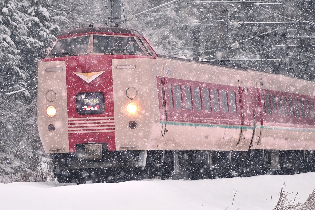 雪の特急やくも