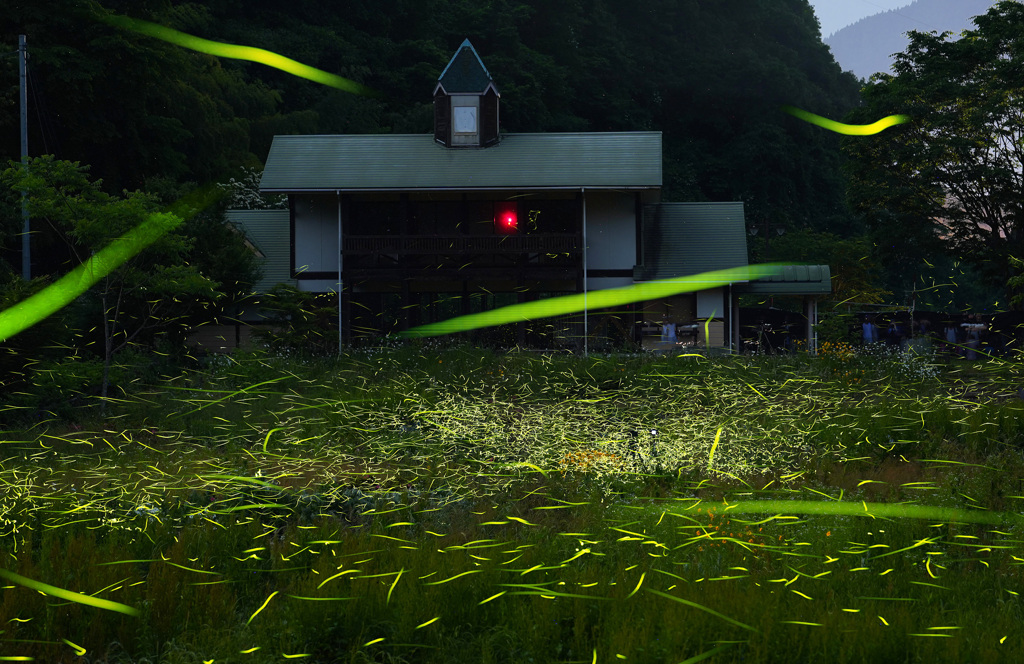 せせらぎ公園の夜