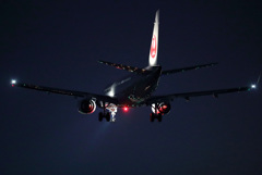 Night Arrival