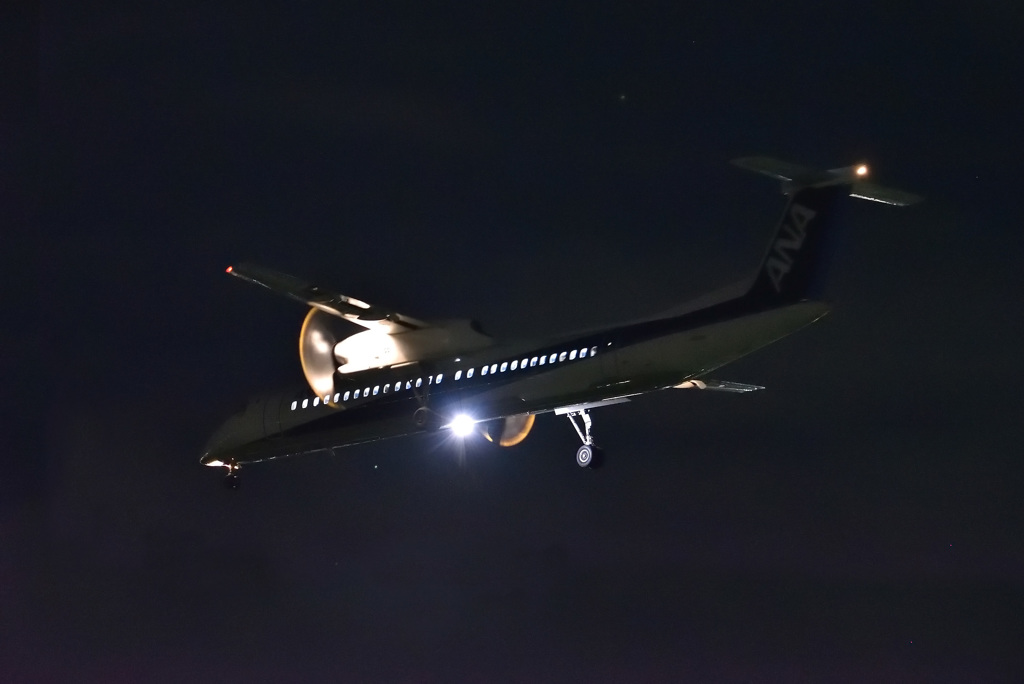 Night Arrival