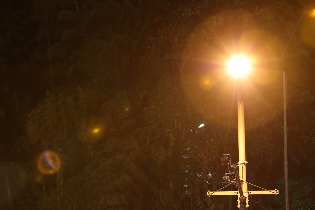 EF70-200F2.8LISⅡ逆光テスト