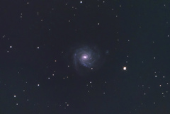 NGC1232