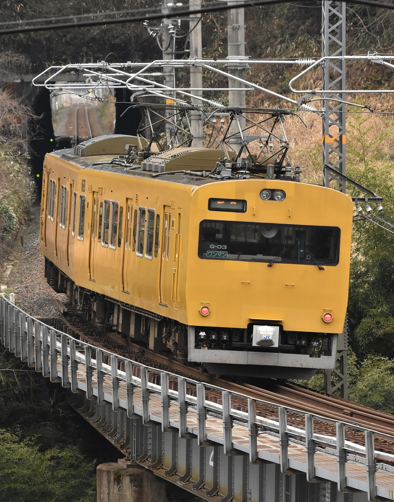 キハ115トースト