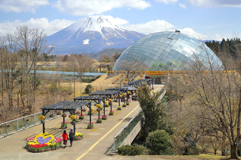 とっとり花回廊と大山