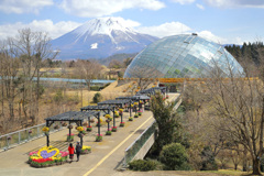 とっとり花回廊と大山