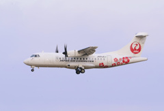 ATR-42ハイビスカス到着