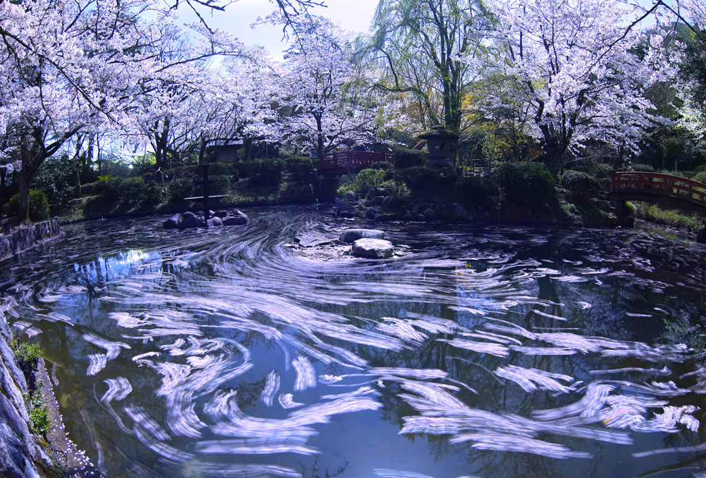 落花の流れ