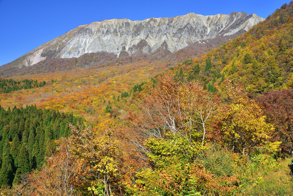 錦秋の大山