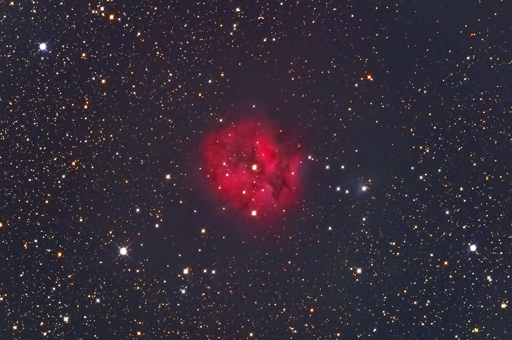 IC5146 まゆ星雲