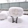 一晩で雪国