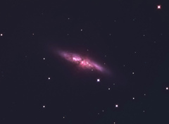 M82