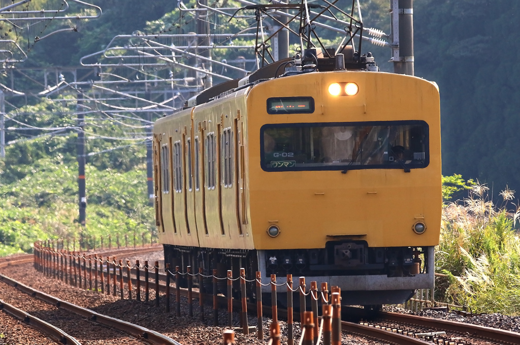 シグマ150-600C作例