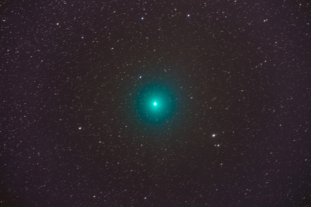 2018.12.17 ウィルタネン彗星