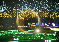 花回廊イルミネーション