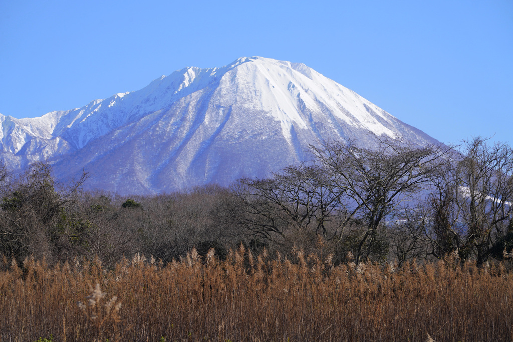 大山冬景色