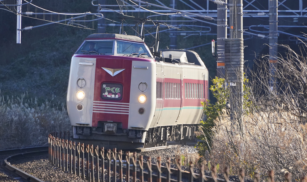 特急やくも
