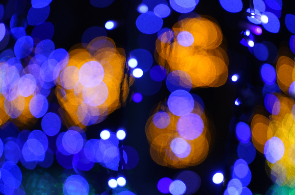 由志園イルミネーション