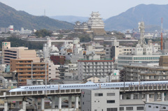 姫路城とさくら542号