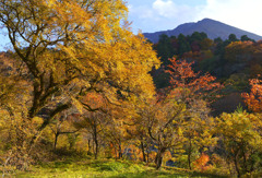 大山紅葉