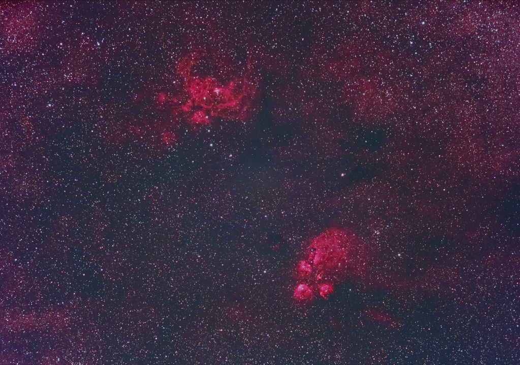 出目金・彼岸花星雲