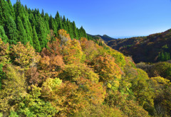 錦秋の裏大山