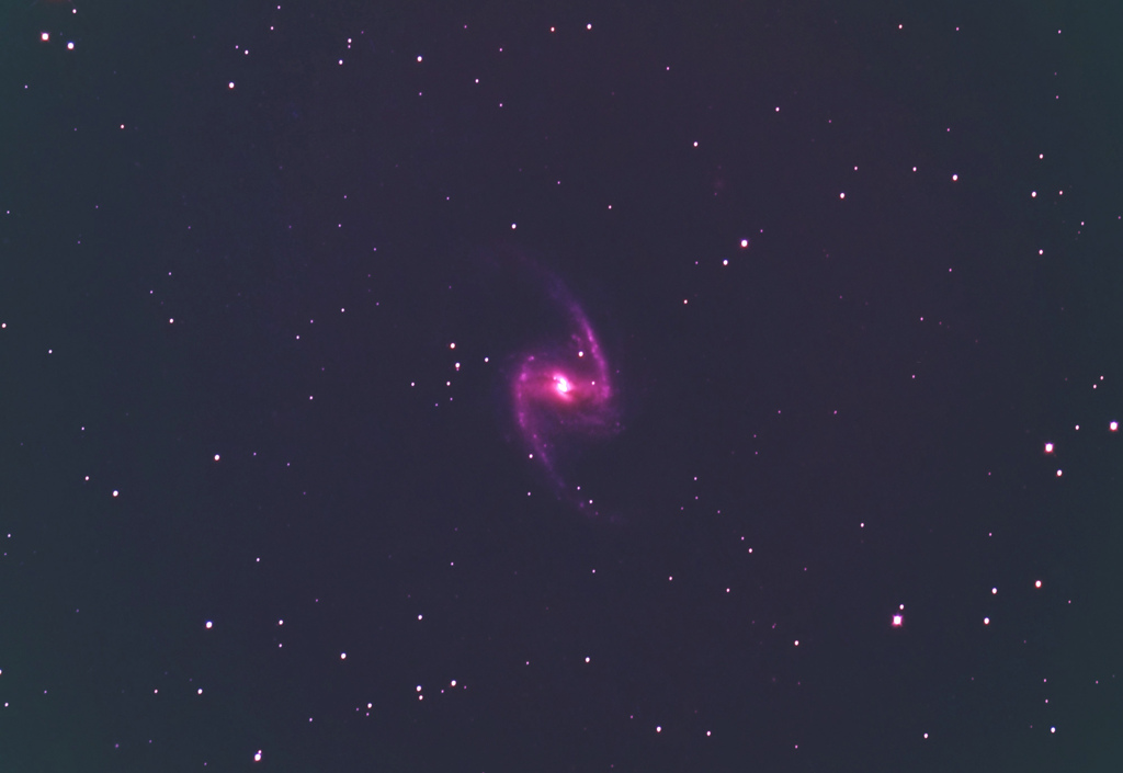 NGC1365