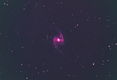 NGC1365