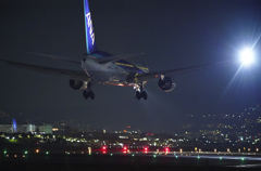 Night Arrival