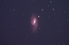 M66