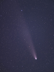 2024.10.30 紫金山・アトラス彗星