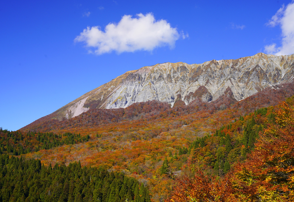 大山鍵掛峠紅葉