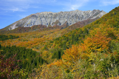 2025.11.4 大山鍵掛峠紅葉