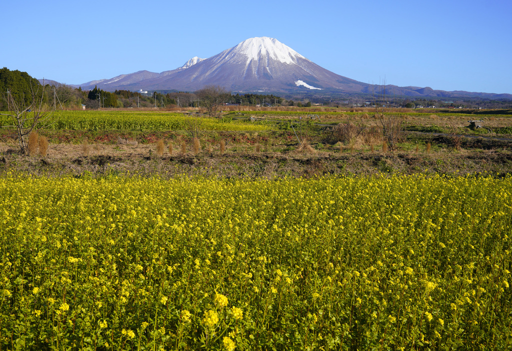 植田正治美術館前にて