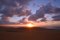 砂丘夕景