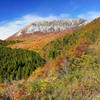 2019.11.2 大山紅葉