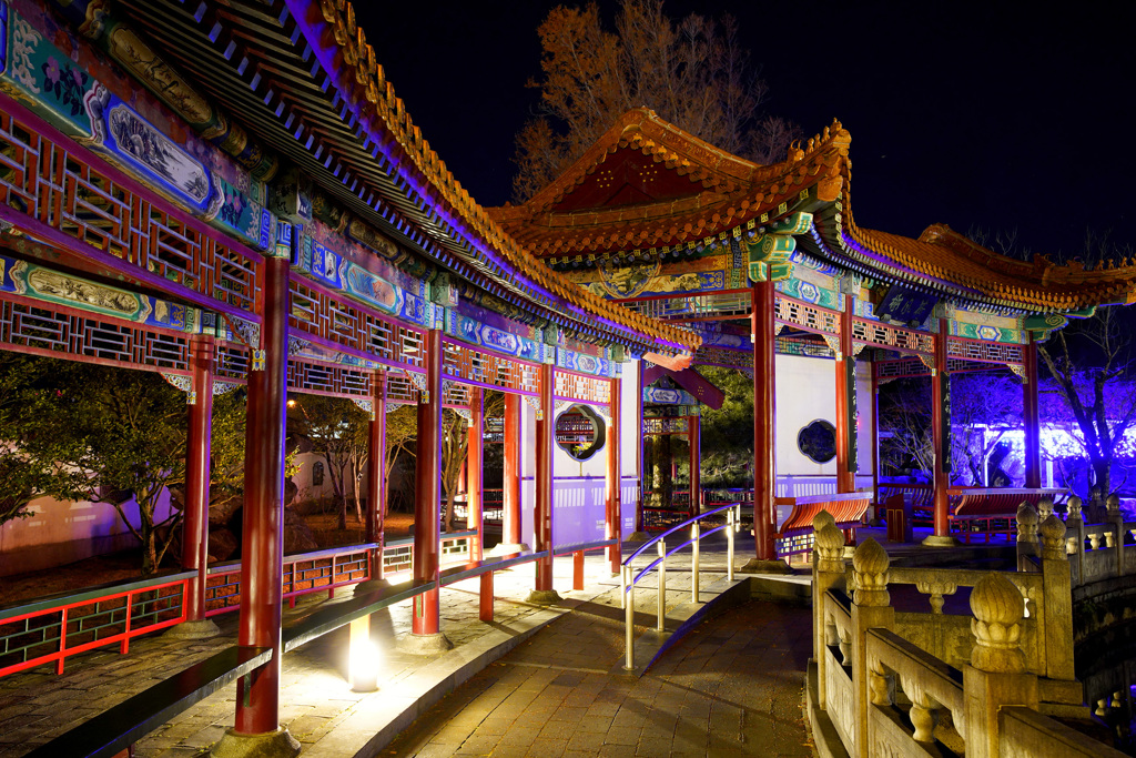 燕趙園ライトアップ