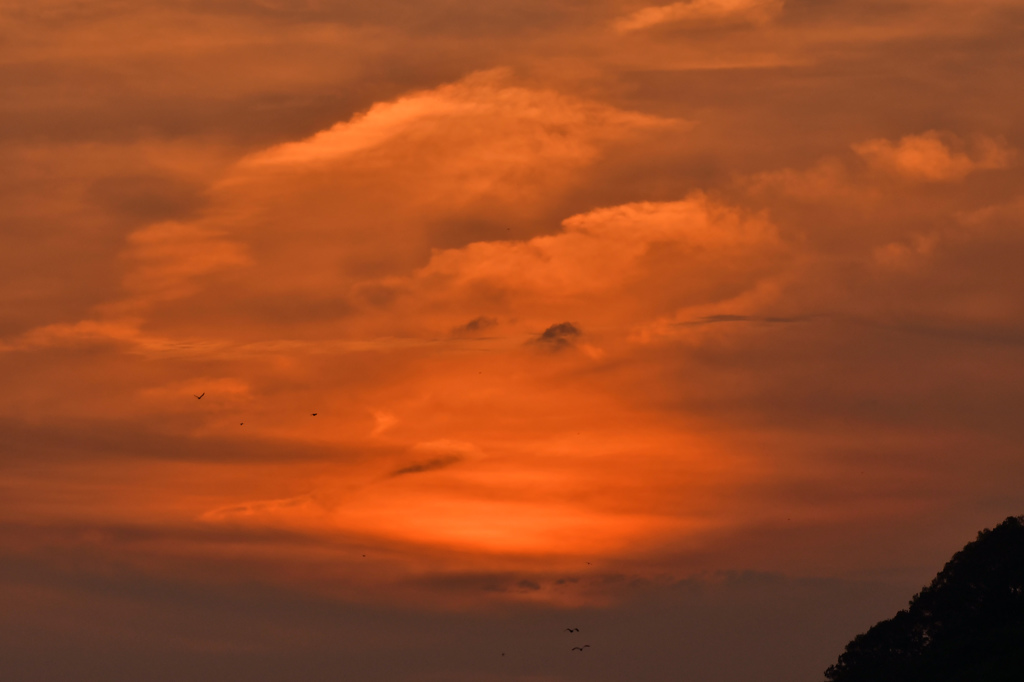 茜空