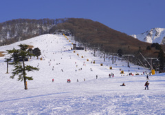 大山中の原スキー場