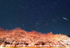 豊房の桜と沈む冬の星座・金星