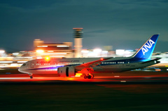 Night Arrival