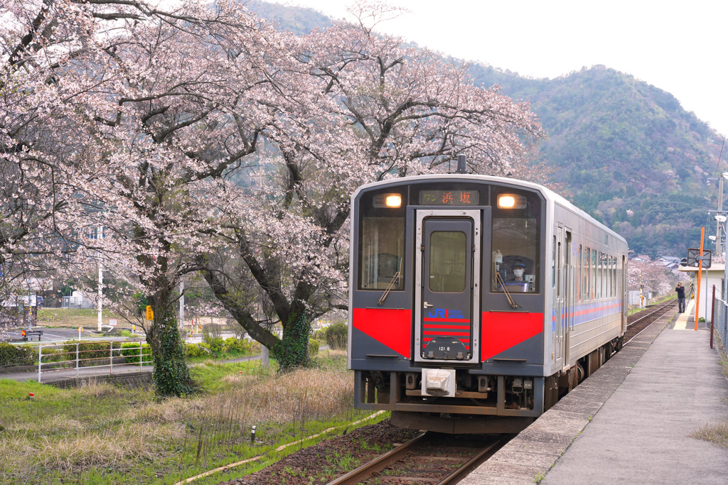 桜の大岩駅