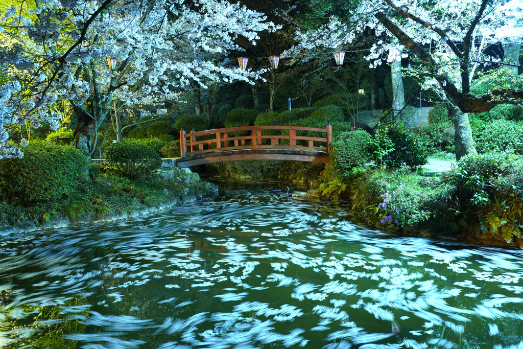 落花の流れ