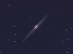 NGC4565
