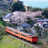 大宝寺の桜とタラコ列車