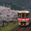 大岩駅の桜と特急はまかぜ