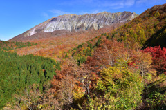 錦秋の大山