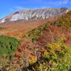 錦秋の大山