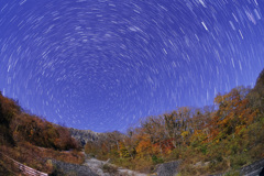 月夜の大山三の沢紅葉